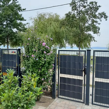 Traumlage Direkt Am Balatonszárszó